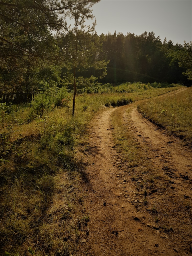 Działka na sprzedaż Komorze 3 500 m2 | Arka Nieruchomości