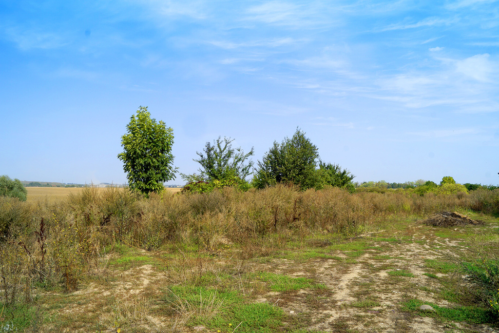 Działka na sprzedaż Kamieniec 4 955 m2 | Arka Nieruchomości