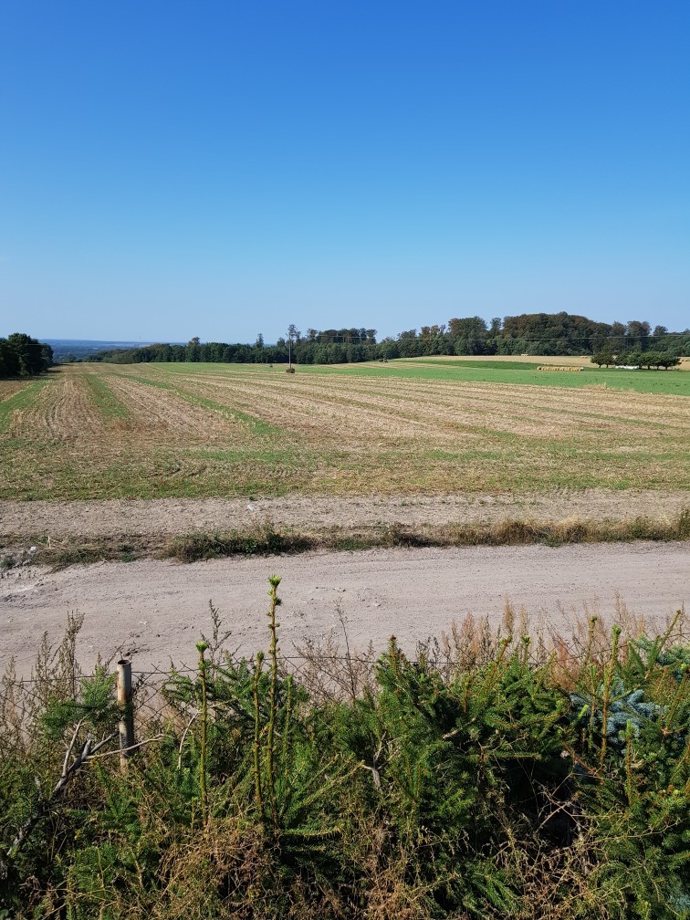Działka na sprzedaż Kołowo 11 998 m2 | Arka Nieruchomości