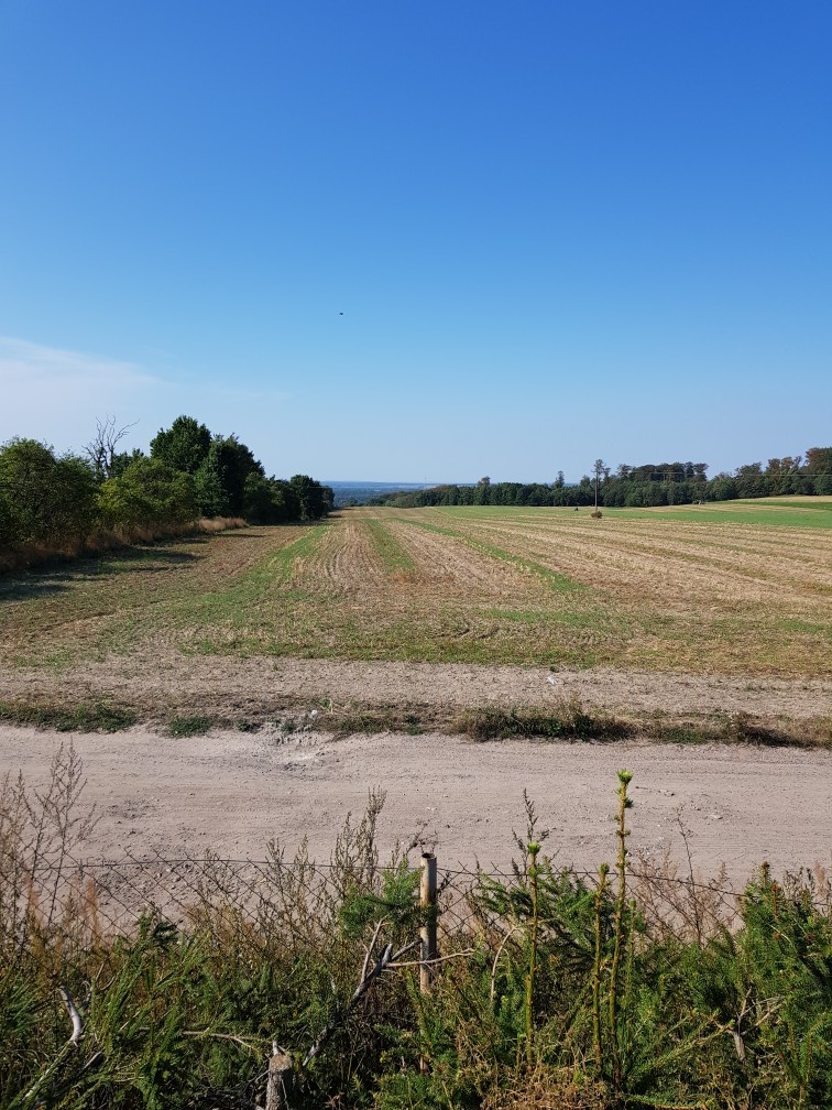 Działka na sprzedaż Kołowo 13 121 m2 | Arka Nieruchomości