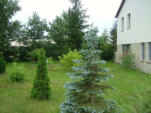 Dom na sprzedaż Warnowo 170 m2 | Arka Nieruchomości