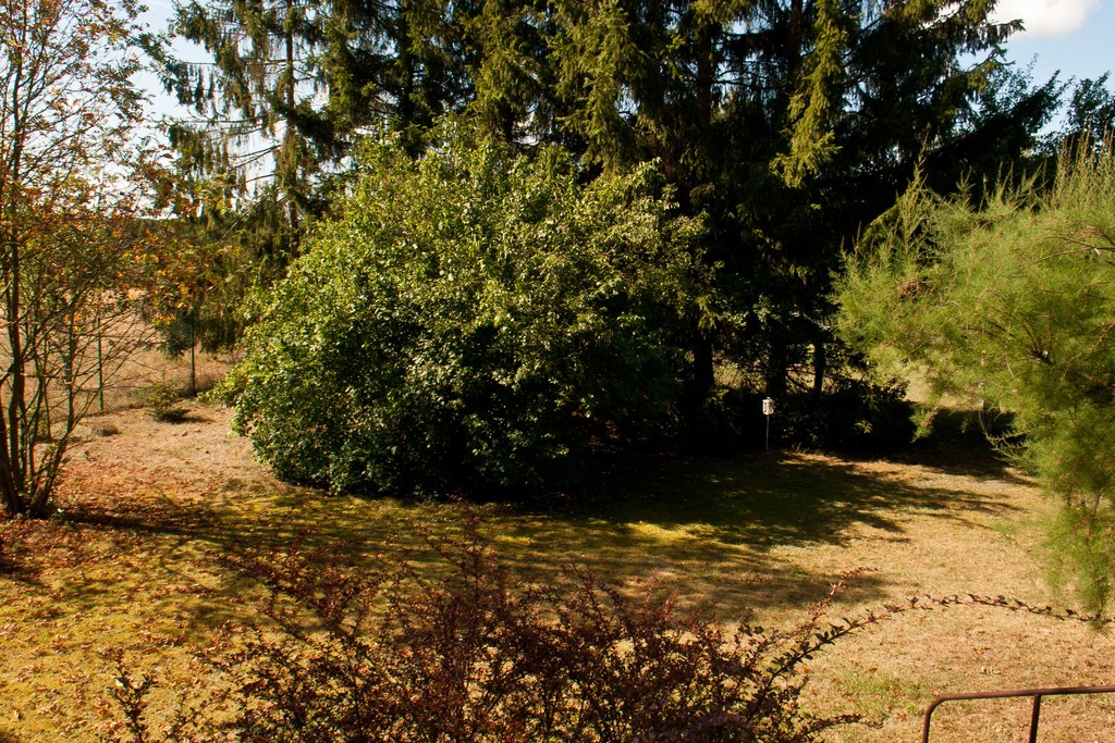 Dom na sprzedaż Warnowo 170 m2 | Arka Nieruchomości