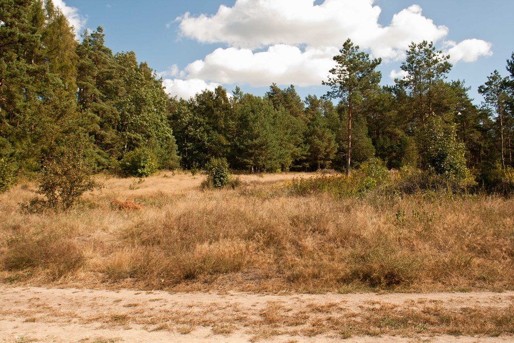 Dom na sprzedaż Warnowo 170 m2 | Arka Nieruchomości