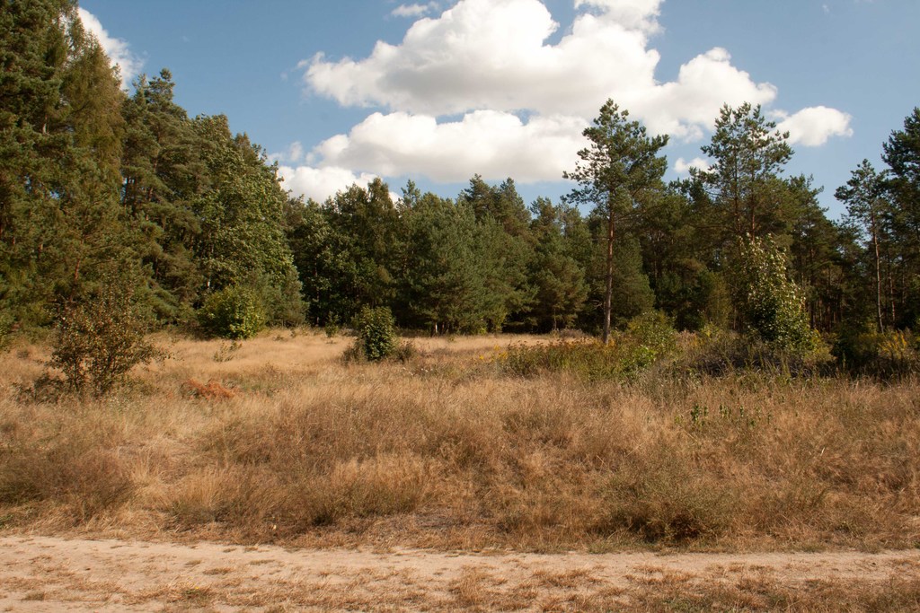 Dom na sprzedaż Warnowo 170 m2 | Arka Nieruchomości