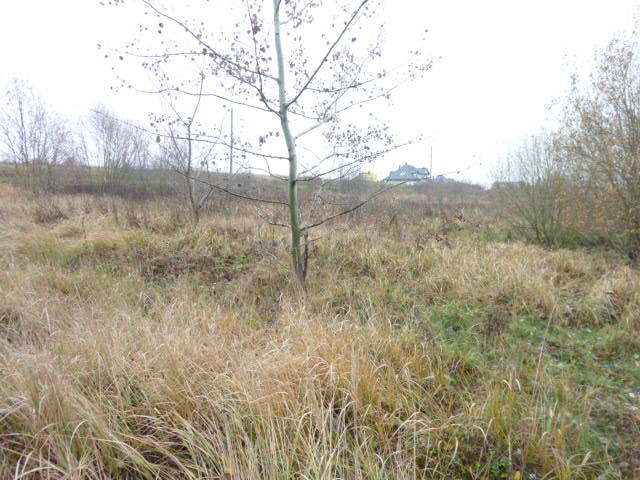 Działka na sprzedaż Dobra 1 148 m2 | Arka Nieruchomości