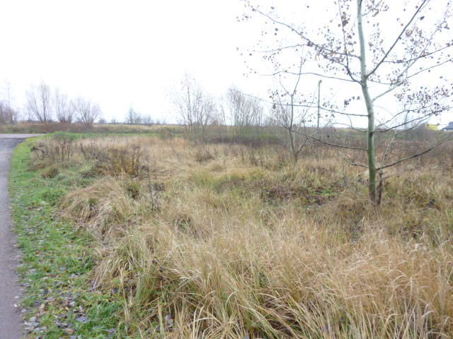 Działka na sprzedaż Dobra 1 148 m2 | Arka Nieruchomości