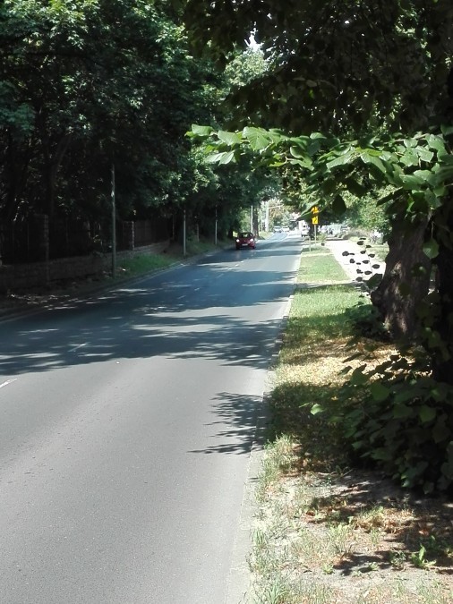 Działka na sprzedaż Szczecin, Zdroje 13 740 m2 | Arka Nieruchomości