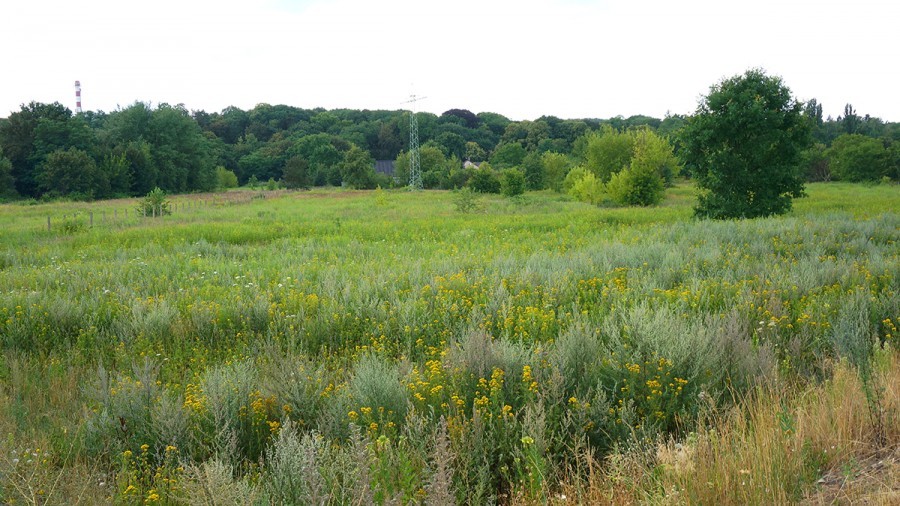 Działka na sprzedaż Szczecin, Zdroje 13 740 m2 | Arka Nieruchomości