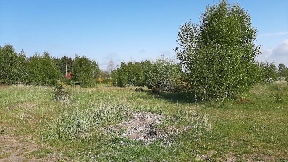 Działka na sprzedaż Mrzeżyno 2 183 m2 | Arka Nieruchomości