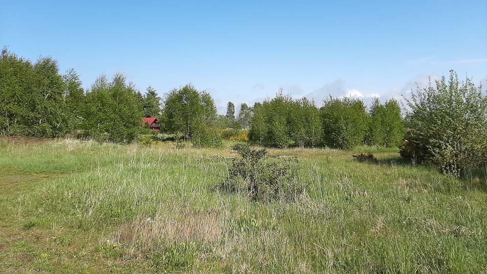 Działka na sprzedaż Mrzeżyno 2 183 m2 | Arka Nieruchomości