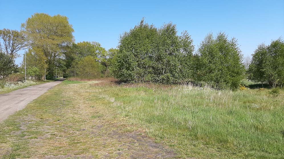 Działka na sprzedaż Mrzeżyno 2 183 m2 | Arka Nieruchomości