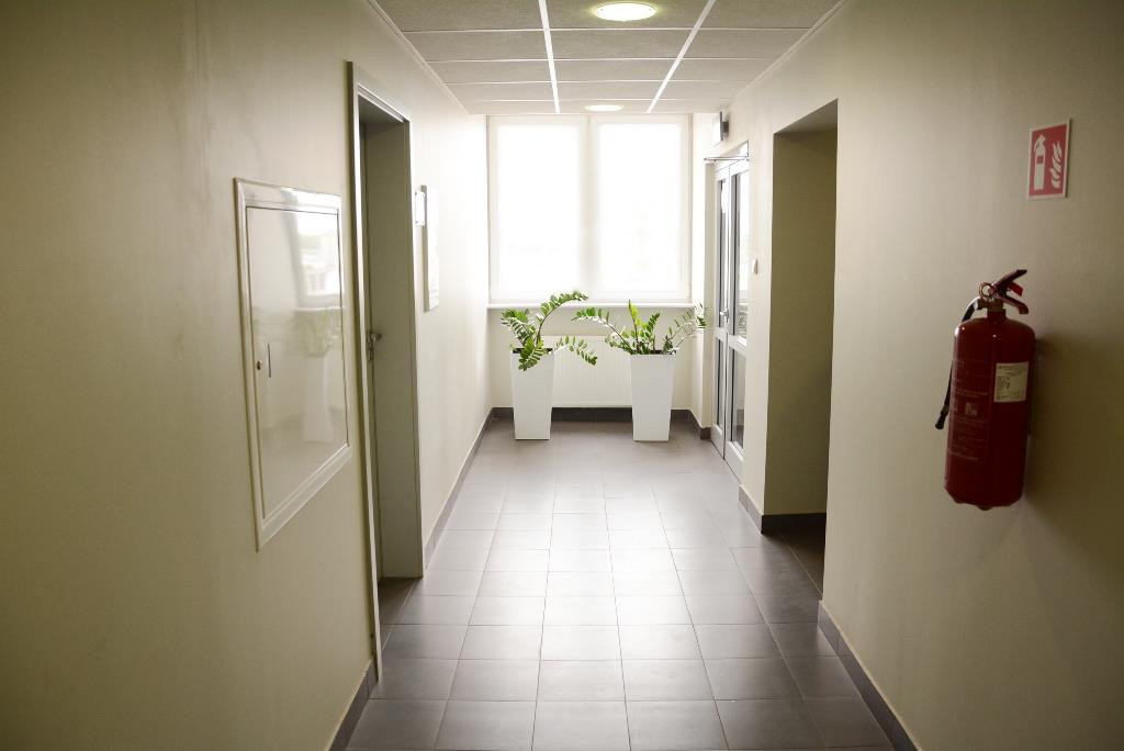 Lokal na wynajem Szczecin, Śródmieście 36 m2 | Arka Nieruchomości