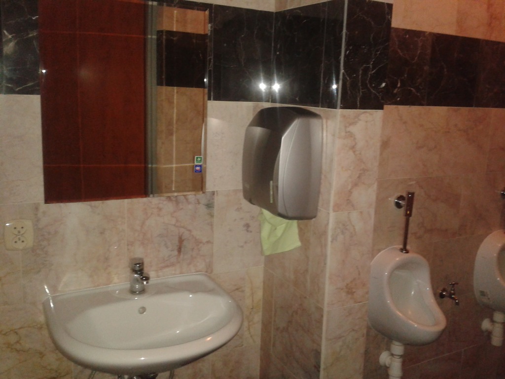 Obiekt na wynajem Dobra 480 m2 | Arka Nieruchomości