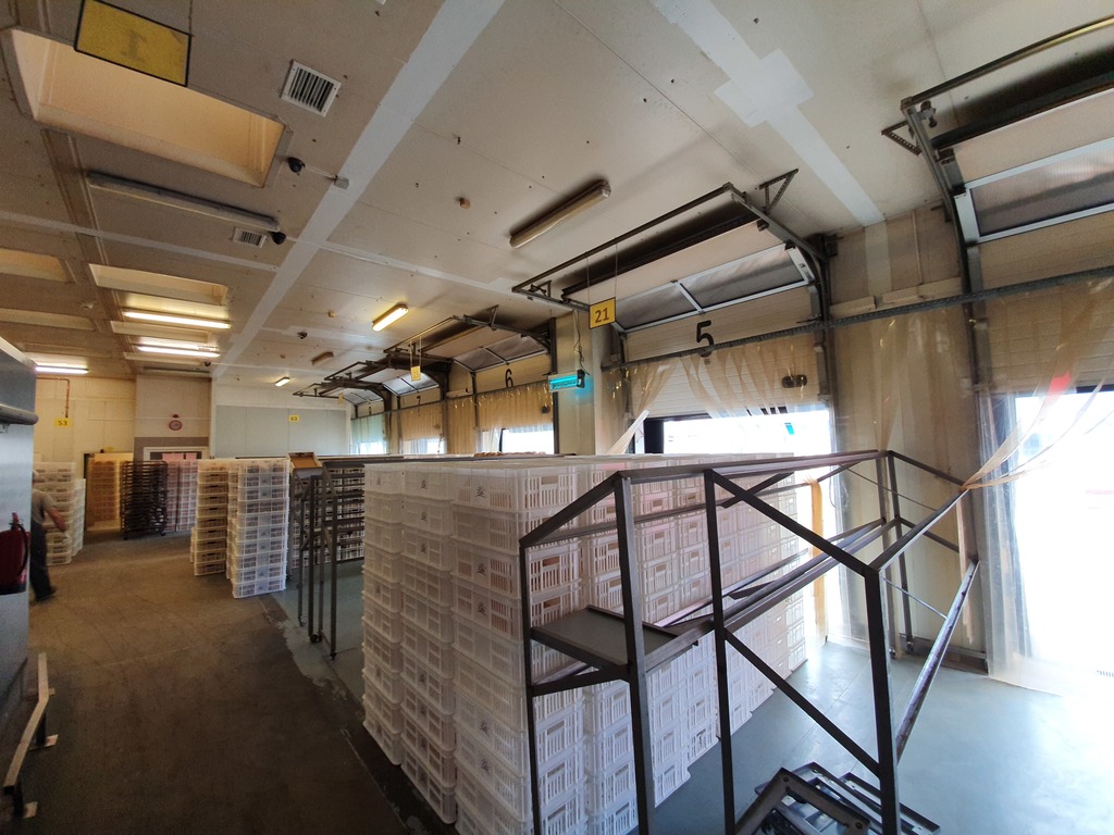 Obiekt na sprzedaż Kliniska Wielkie 3 500 m2 | Arka Nieruchomości