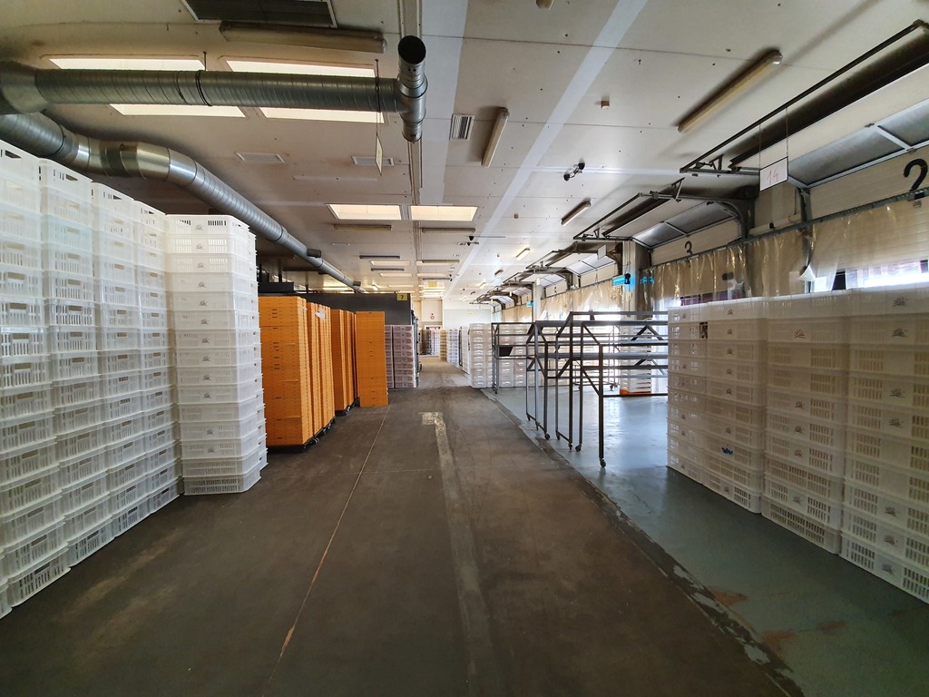 Obiekt na sprzedaż Kliniska Wielkie 3 500 m2 | Arka Nieruchomości