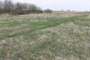 Działka na sprzedaż Barnisław 3 000 m2 | Arka Nieruchomości