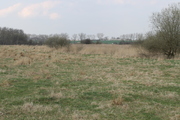 Działka na sprzedaż Barnisław 3 000 m2 | Arka Nieruchomości