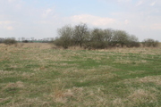 Działka na sprzedaż Barnisław 3 000 m2 | Arka Nieruchomości