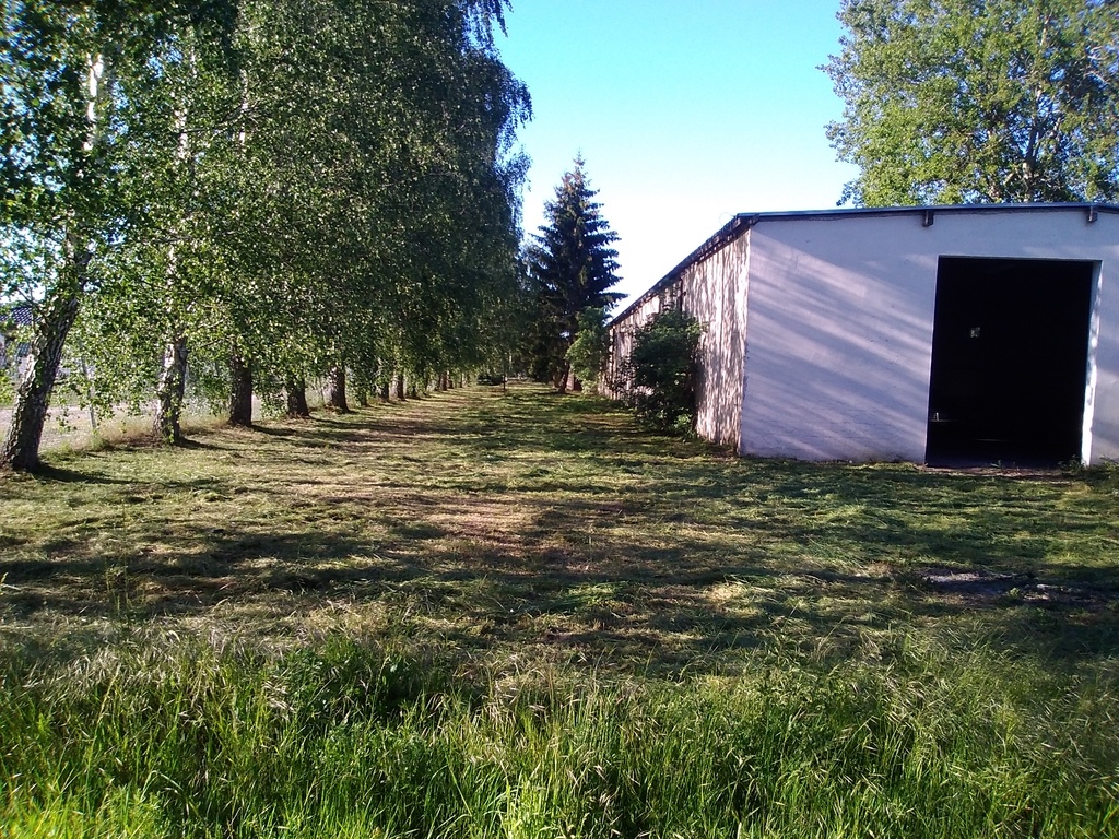 Działka na sprzedaż Niedźwiedź 1 300 m2 | Arka Nieruchomości