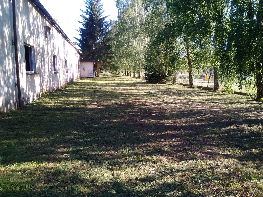 Działka na sprzedaż Niedźwiedź 1 300 m2 | Arka Nieruchomości