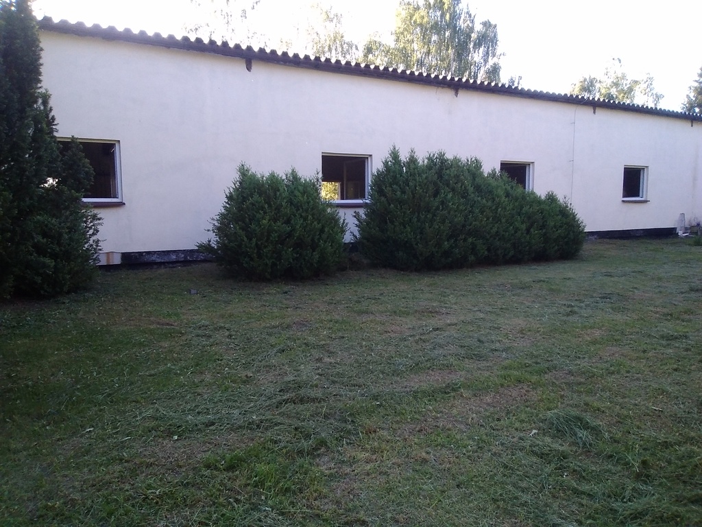 Działka na sprzedaż Niedźwiedź 1 300 m2 | Arka Nieruchomości