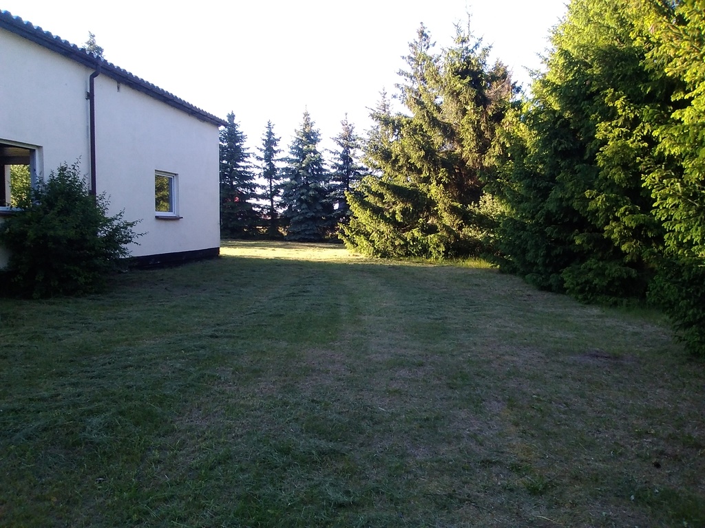 Działka na sprzedaż Niedźwiedź 1 300 m2 | Arka Nieruchomości