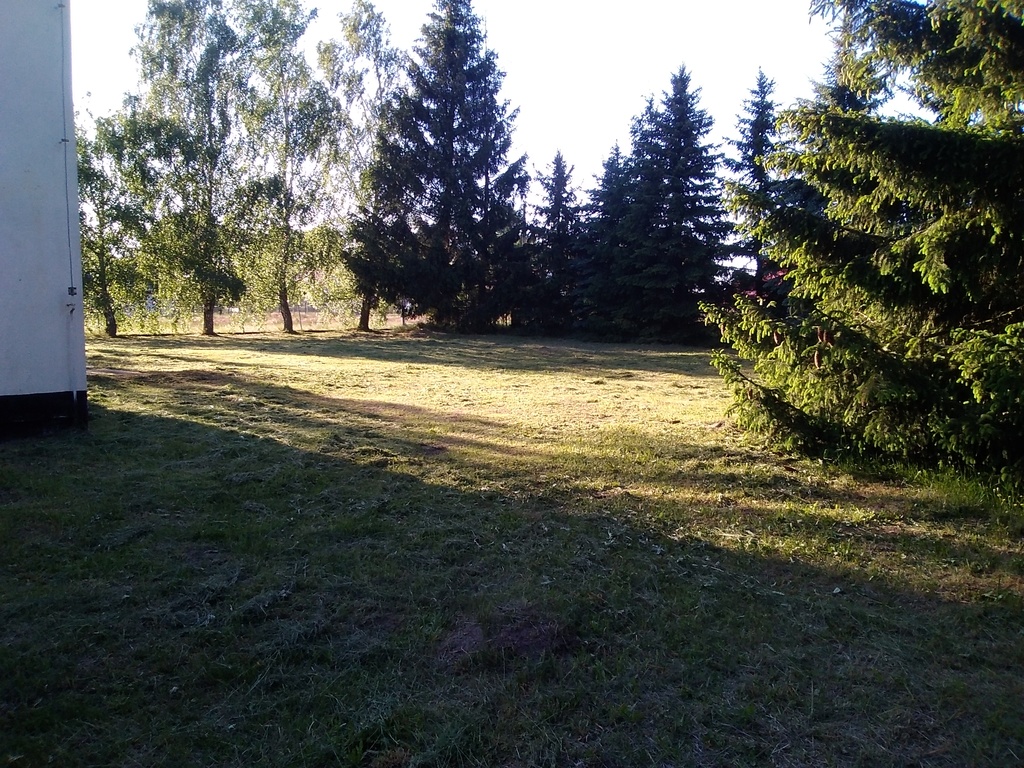 Działka na sprzedaż Niedźwiedź 1 300 m2 | Arka Nieruchomości