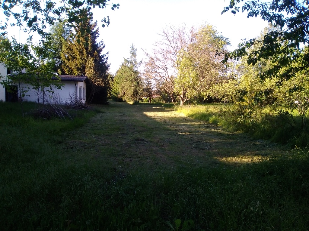 Działka na sprzedaż Niedźwiedź 1 300 m2 | Arka Nieruchomości