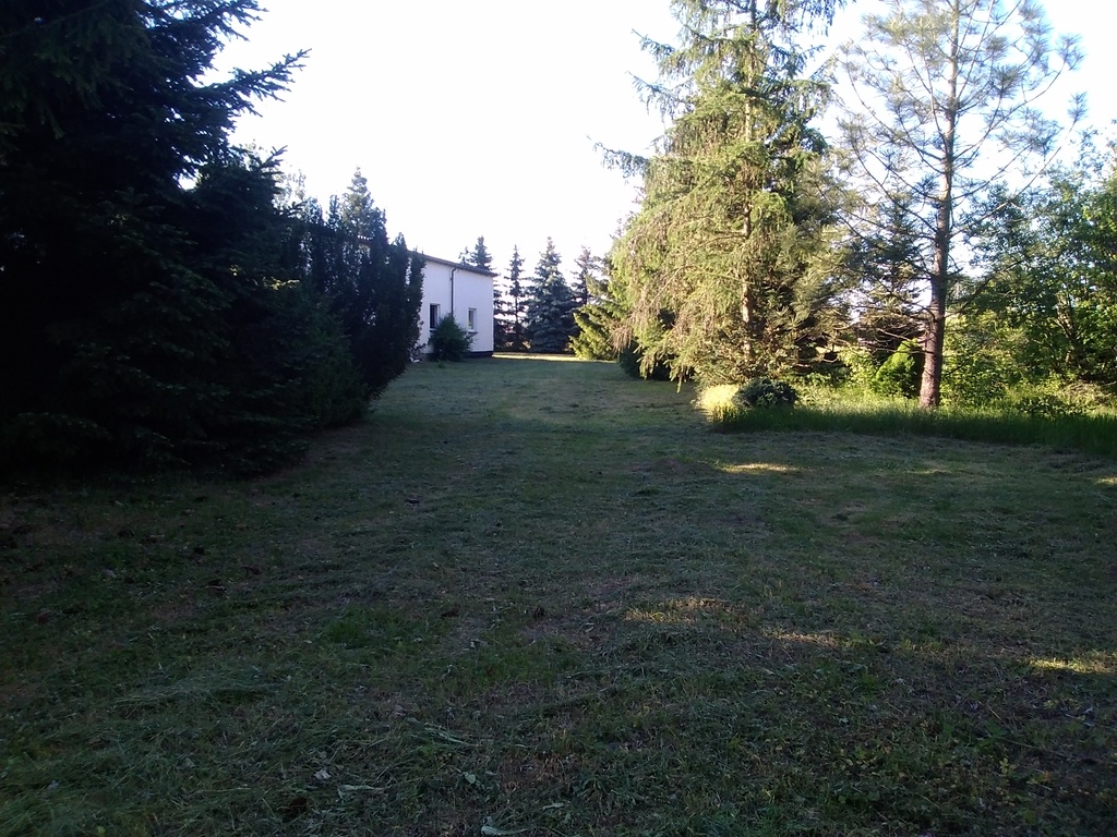 Działka na sprzedaż Niedźwiedź 1 300 m2 | Arka Nieruchomości