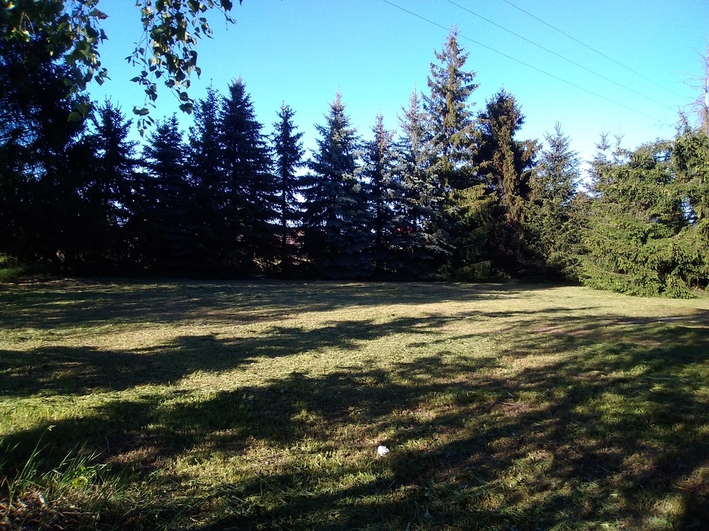 Działka na sprzedaż Niedźwiedź 1 300 m2 | Arka Nieruchomości