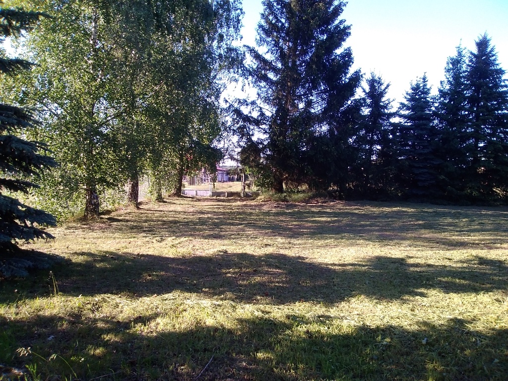 Działka na sprzedaż Niedźwiedź 1 300 m2 | Arka Nieruchomości