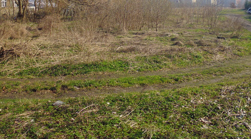 Działka na sprzedaż Szczecin, Zdroje 7 474 m2 | Arka Nieruchomości