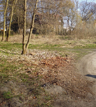 Działka na sprzedaż Szczecin, Zdroje 7 474 m2 | Arka Nieruchomości