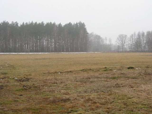 Działka na sprzedaż Stepnica 1 841 m2 | Arka Nieruchomości