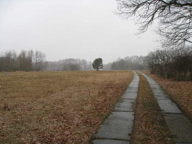 Działka na sprzedaż Stepnica 2 975 m2 | Arka Nieruchomości