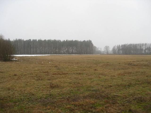 Działka na sprzedaż Stepnica 2 975 m2 | Arka Nieruchomości