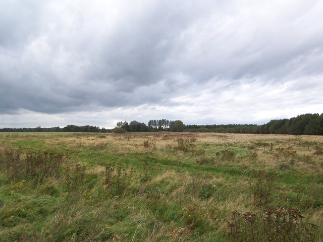 Działka na sprzedaż Bagna 33 600 m2 | Arka Nieruchomości