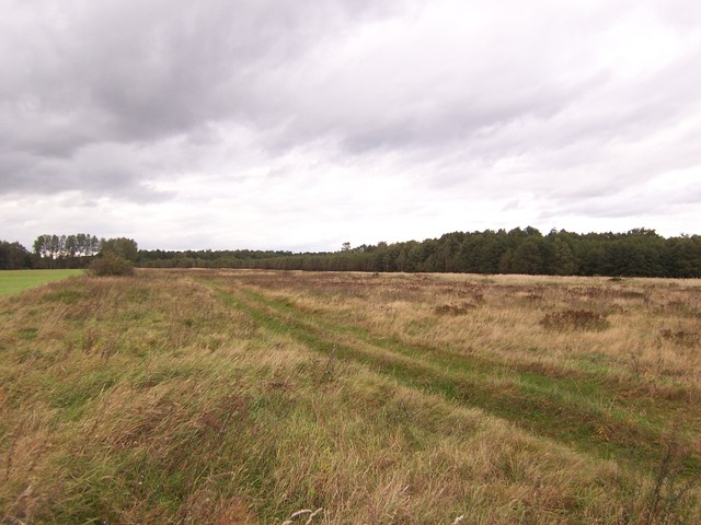 Działka na sprzedaż Bagna 33 600 m2 | Arka Nieruchomości