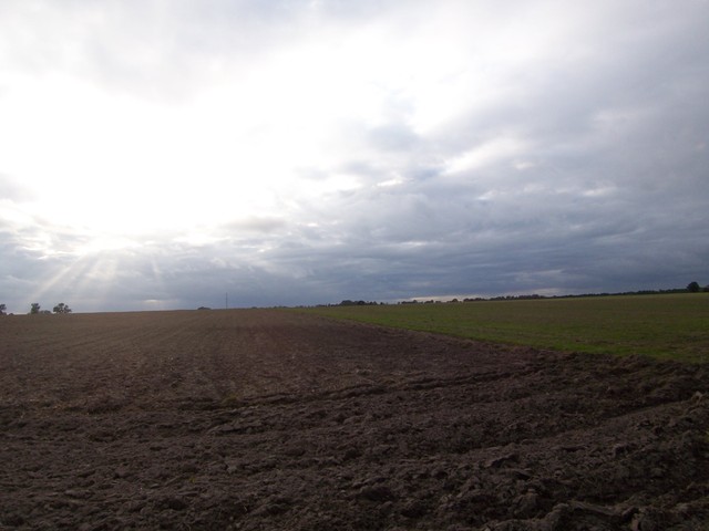 Działka na sprzedaż Bagna 33 600 m2 | Arka Nieruchomości