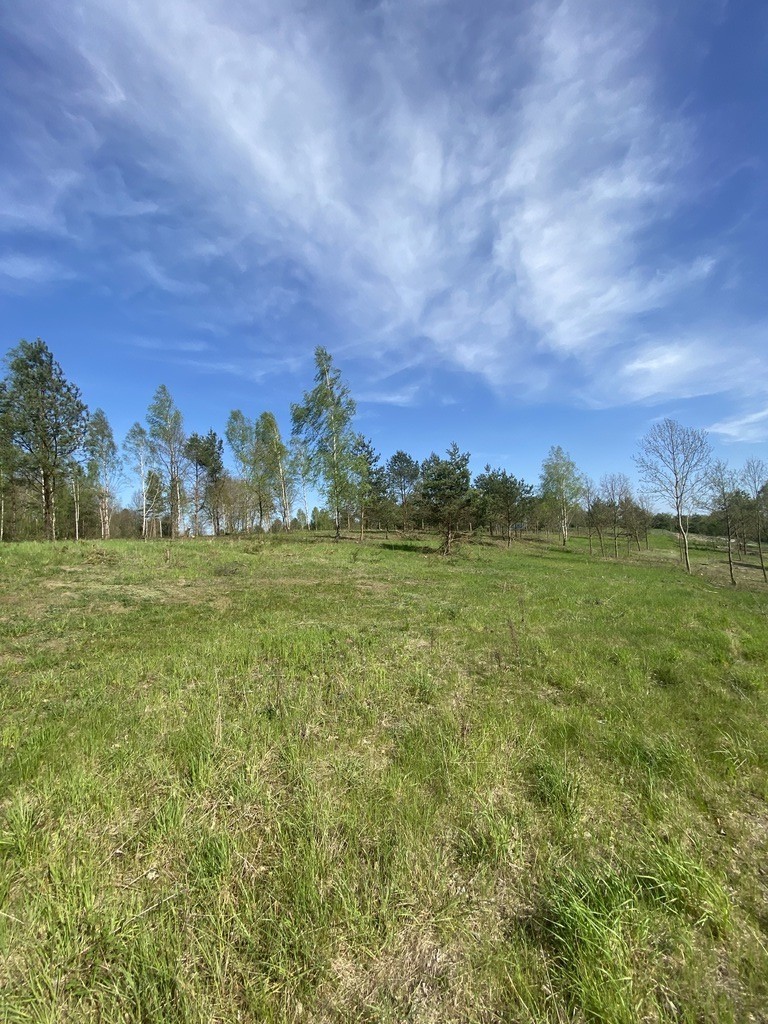 Działka na sprzedaż Lubieszewo 725 m2 | Arka Nieruchomości