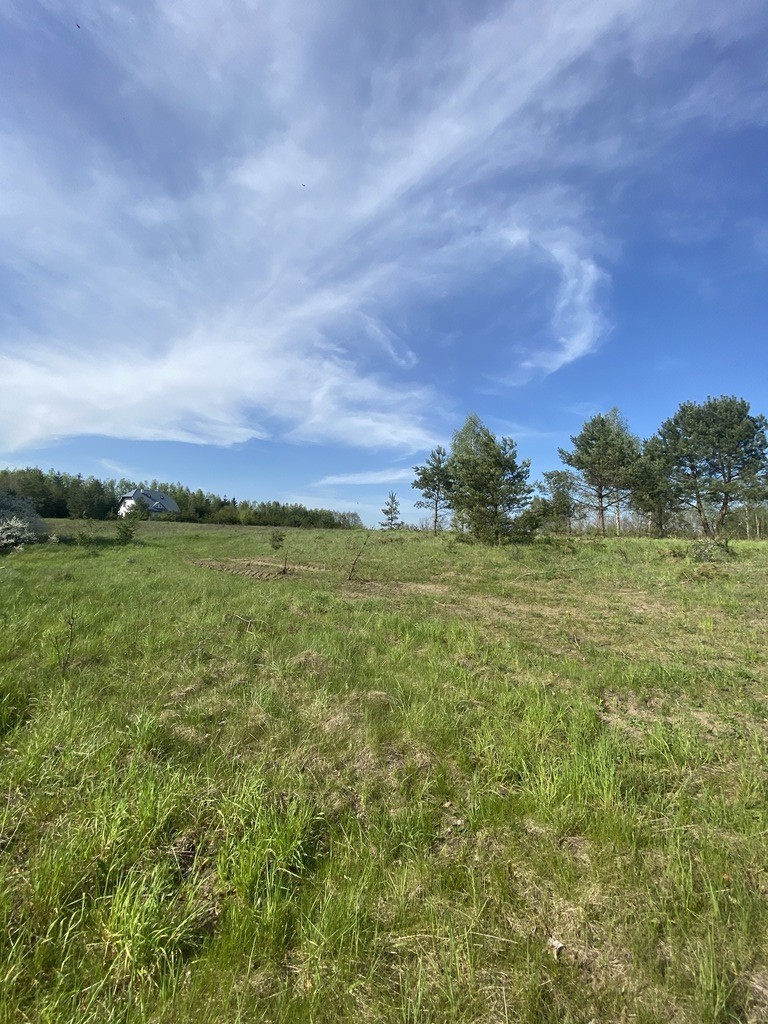 Działka na sprzedaż Lubieszewo 755 m2 | Arka Nieruchomości