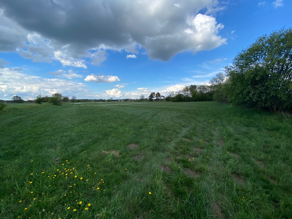 Działka na sprzedaż Żarowo 1 576 m2 | Arka Nieruchomości