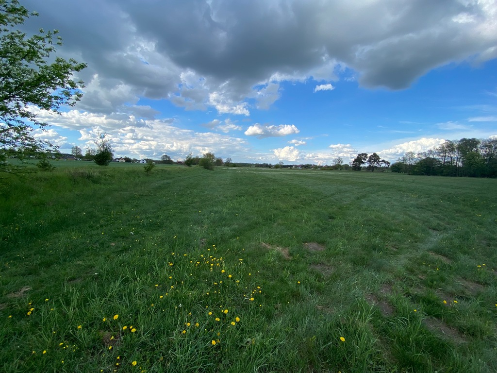 Działka na sprzedaż Żarowo 1 576 m2 | Arka Nieruchomości