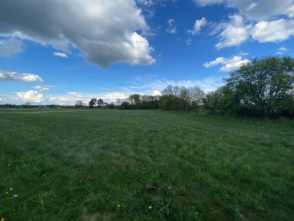 Działka na sprzedaż Żarowo 1 576 m2 | Arka Nieruchomości