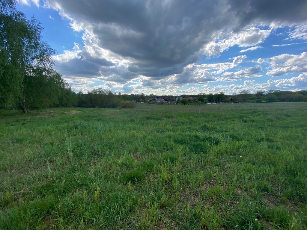 Działka na sprzedaż Rogowo 1 567 m2 | Arka Nieruchomości