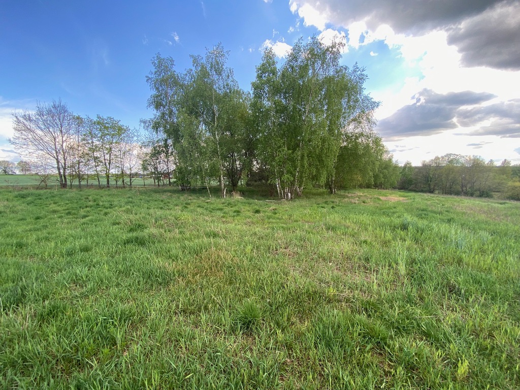 Działka na sprzedaż Rogowo 1 567 m2 | Arka Nieruchomości