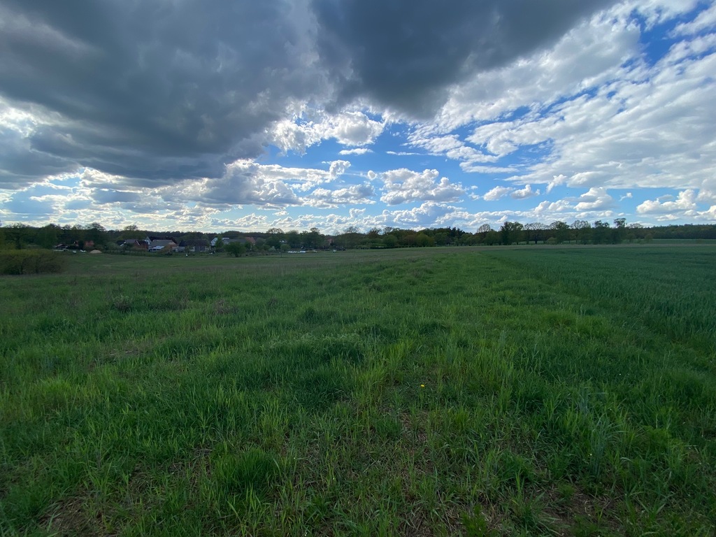 Działka na sprzedaż Rogowo 1 567 m2 | Arka Nieruchomości