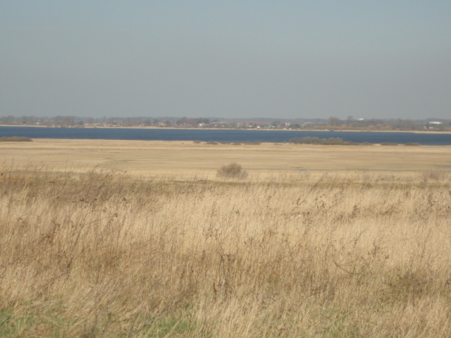 Działka na sprzedaż Turze 10 000 m2 | Arka Nieruchomości