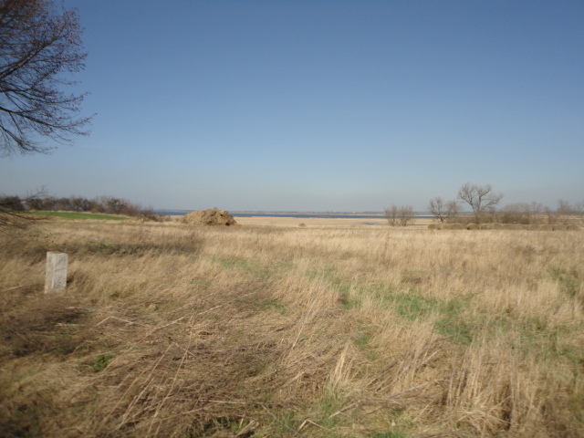 Działka na sprzedaż Turze 10 000 m2 | Arka Nieruchomości