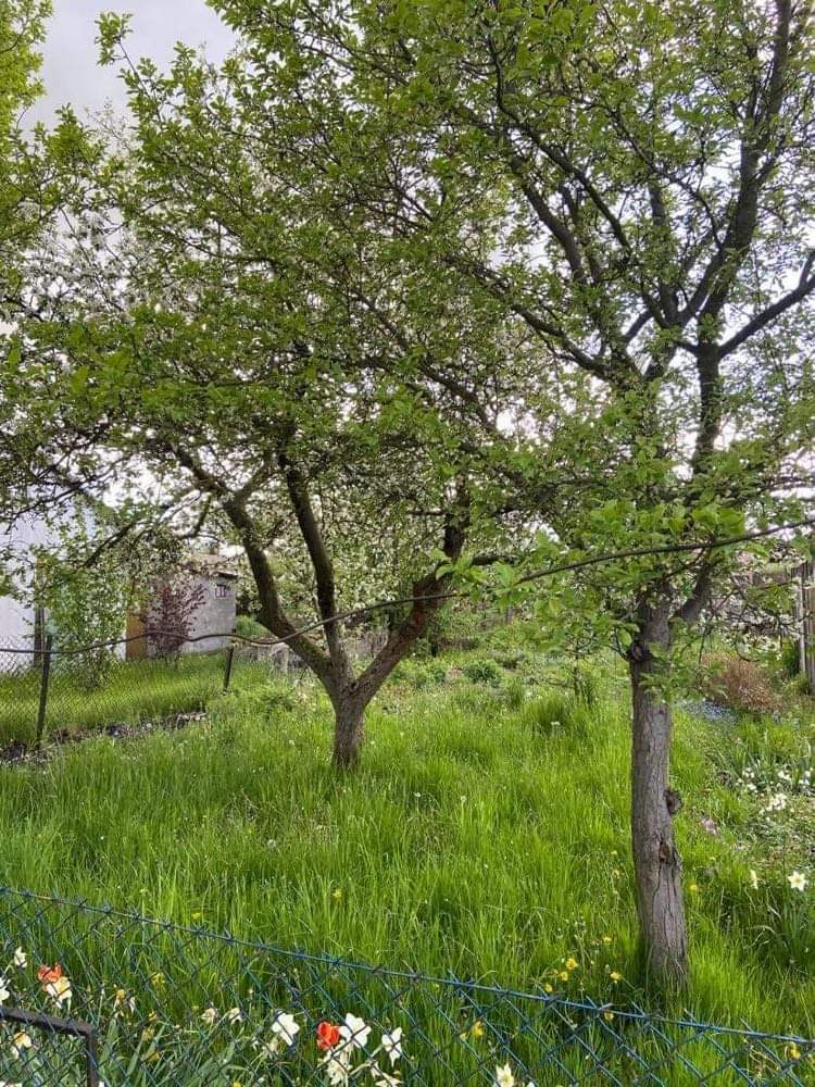 Działka na sprzedaż Szczecin, Dąbie 400 m2 | Arka Nieruchomości